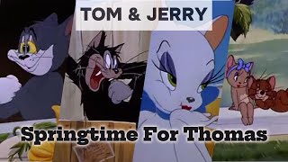 Tom and jerry, Springtime For Thomas | part 1 | tom and jerry cartoon | cartoon tom and jerry