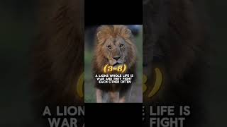 Lion VS Tiger (With Proofs)