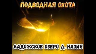 Подводная охота Ладожское Озеро д. Назия