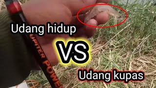 MANCING DI SUNGAI PAKE UMPAN INI DI JAMIN HEPY