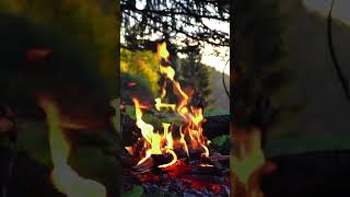 Relaxing Campfire at the Peaceful Sunset. Full 4K 4-hour video on my channel.  #campfire4k #relax