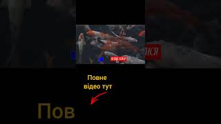 Від природи до літаків: як тварини надихають інженерів