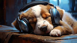 Dog Music: Relaxation Therapy | Over 24 HOURS of the best anti-anxiety music for Cats and Dogs! #4