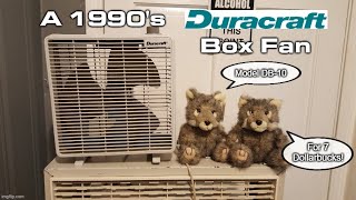 Eskie's Vlog 021224: A Grey Duracraft DB-10 Box Fan