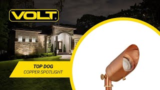 What's In The Box? | VOLT® Top Dog Copper Spotlight