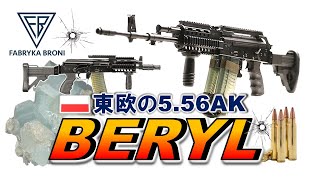 【ミリオタ通信】東欧の5.56カラシニコフ『FB Radom Beryl』【実銃解説】