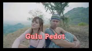 Dung sing percoyo bedahen dodo iki || Gulu Pedot