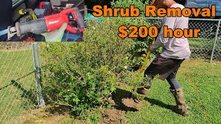 Shrub Removal (Sawzall hack)