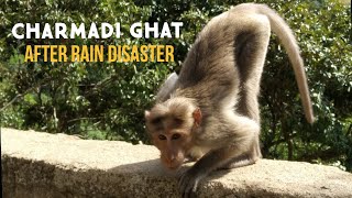 Charmadi Ghat After Rain Disaster In 2019 | Mesmerising