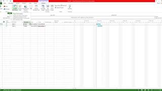 Microsoft Project - Project Information