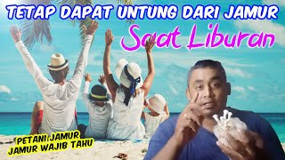 2 Cara agar petani jamur tiram tetap untung disaat libur