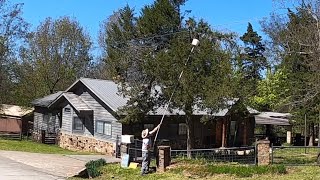 How to catch a bee swarm with a POLE and BUCKET!!! Easy swarm catch!