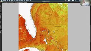 Southeastern U.S. Ocean Conditions Update - 7/5/2022