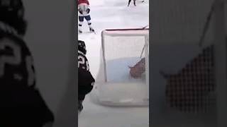 The Ultimate FAKE #hockey