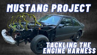 Finding Secrets, Engine Harness Exploration in Our Mustang Project