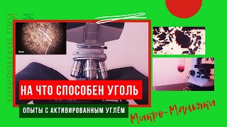 На что способен обычный активированный уголь из аптеки