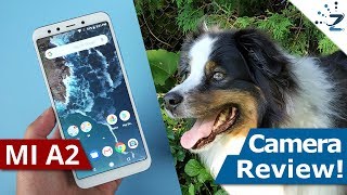 Xiaomi Mi A2 IN-DEPTH Camera Review! 📸