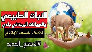 النبات الطبيعي والحيوانات البرية في بلدي