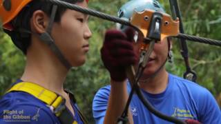 Flight of the Gibbon in Pattaya