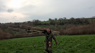 Hiking stick harvesting in a beautiful valley. Am I environmentally friendly and sustainable?