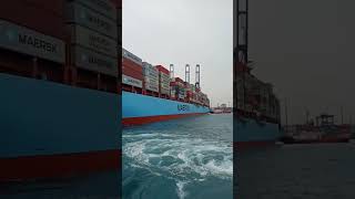 Tug pushing maersk senang