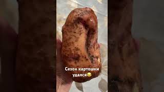 #брянскаяобласть #деревня #купилидом