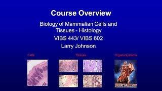 1. Course Overview Lecture