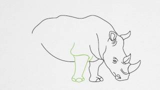 How to draw a RHINO or RHINOCEROS step by step