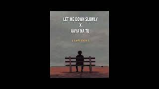 LET ME DOWN SLOWLY X AAYA NA TU #lofiremix