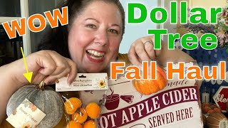 Dollar Tree Fall Haul September 2021 : Hard to find items!