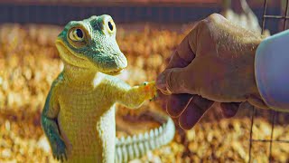 New York Family Surprised After Finding a Friendly Crocodile Living in Their Attic