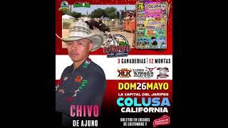 CHIVO DE AJUNO COLUSA CALIFORNIA LA CAPITAL DEL JARIPEO