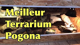 Pogona henrylawsoni : le meilleur terrarium