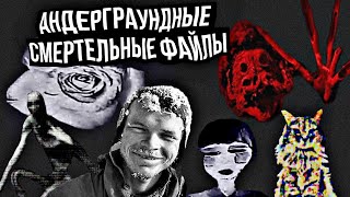 Андерграундные смертельные файлы - Перевал Дятлова 2259.wav / flowerchan.avi / DS10012.jpg/noise.ad