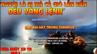 CÁC BÀI HÁT TRONG THÁNH LỄ CHÚA NHẬT XII TN NĂM B. NGÀY 23/06/2024 ( BÀ MẸ)