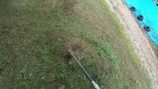 The Power of the Ego Grass Trimmer