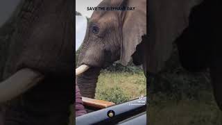 Save the Elephant Day 2022