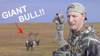 Bow Hunting ALASKA in the ARCTIC CIRCLE