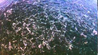 Tarpon Fishing in Florida with the DJI Phantom 2 Vision Plus