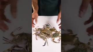 Indian style Crab Soup #shorts#food #asmr #eating #viralvideo #viral #youtubeshorts