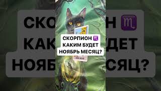 СКОРПИОН ♏️ КАКИМ БУДЕТ НОЯБРЬ МЕСЯЦ ?