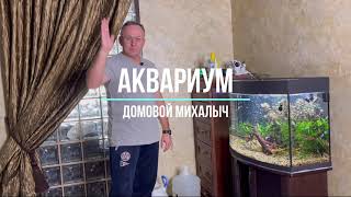 Смена воды в аквариуме!  Еженедельно.