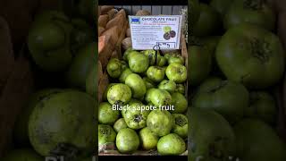 Black Sapote & Persimmon Related?