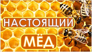 Настоящий лечебный мёд - любимое дело жизни. В гостях у Фролова Ю.А. честные пасечники.