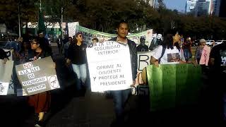 Los jóvenes universitarios ejercen su acción social y ciudadana por México y su libertad.