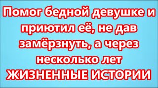 Помог бедной девушке и приютил её, не дав замёрзнуть, а через несколько лет    ЖИЗНЕННЫЕ ИСТОРИИ