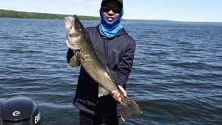 Trophy Alberta Walleye Caught