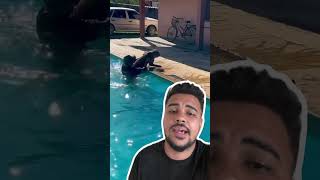 Animal na piscina #fy #pool #piscinas #pets #curiosidades #foryou #viralvideo #cuidados #shorts