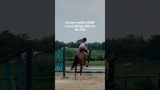 yes the second horse can jump that! this is js entertainment purposes! #jump #fypシ゚viral #funny