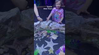 Starfish experience at sealife in Alton Towers #dayout #familyvlog #travelvlog